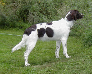 annie7m4.jpg (37648 bytes)