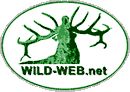 logo.gif (3662 bytes)