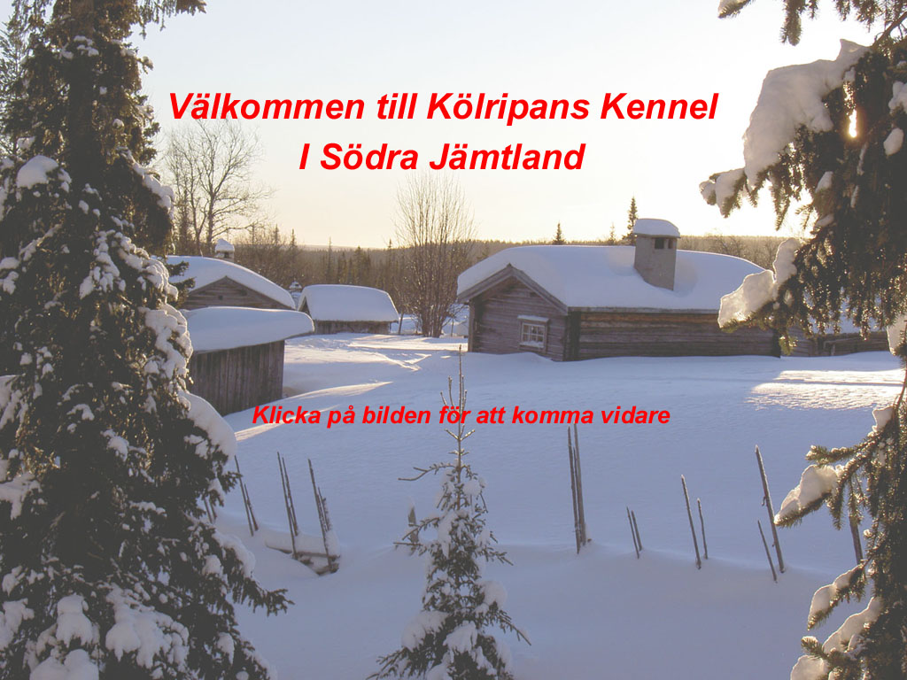 Klicka h�r f�r att komma vidare