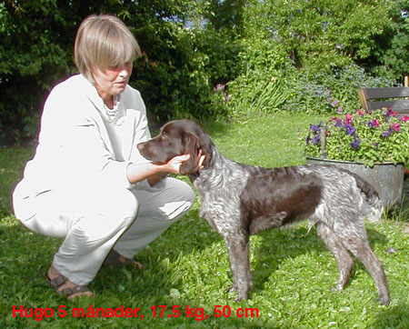 hugo5m1.jpg (76056 bytes)